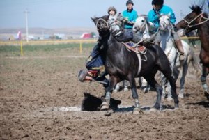 Kokpar