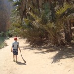 op weg naar Wadi Shab