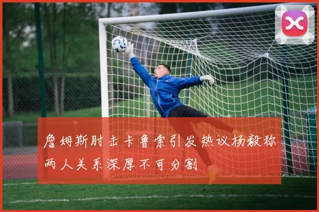 詹姆斯肘击卡鲁索引发热议杨毅称两人关系深厚不可分割